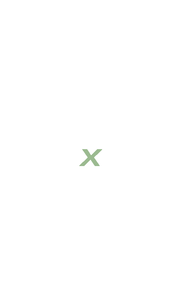LaCha x The Bowl