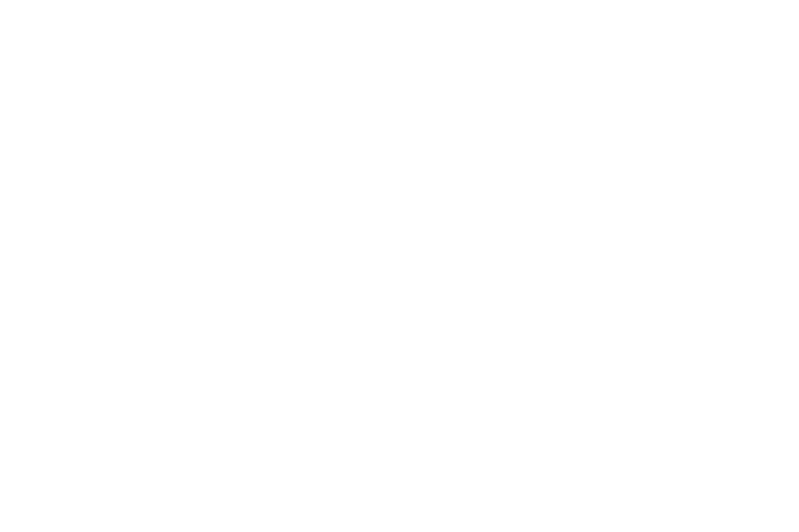 LaCha x The Bowl
